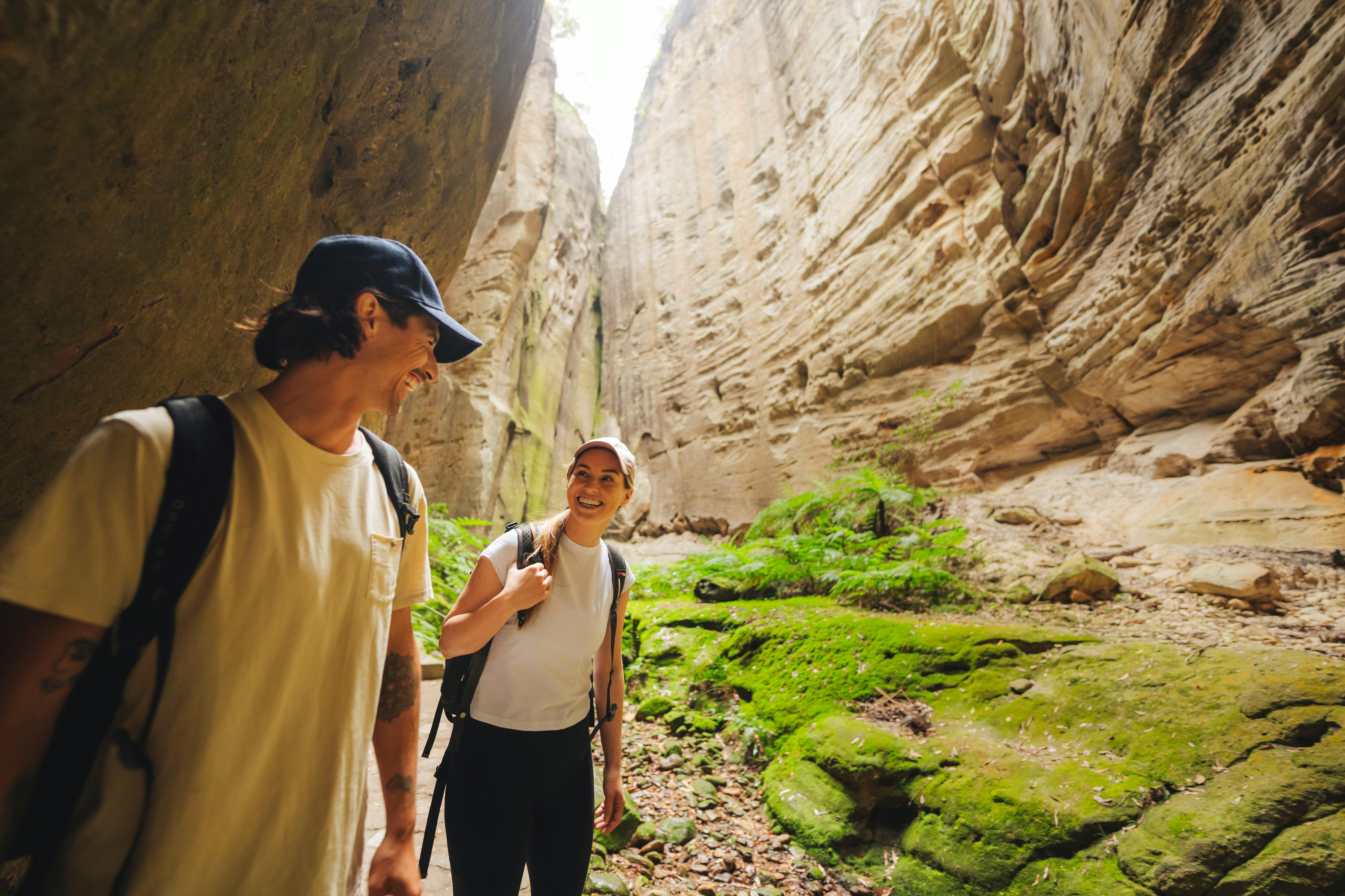 Carnarvon Gorge Tour