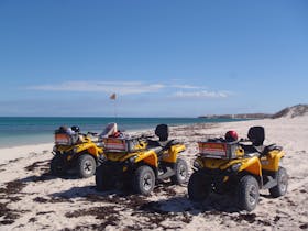 Coastal Adventure Tours, Coral Bay, Western Australia