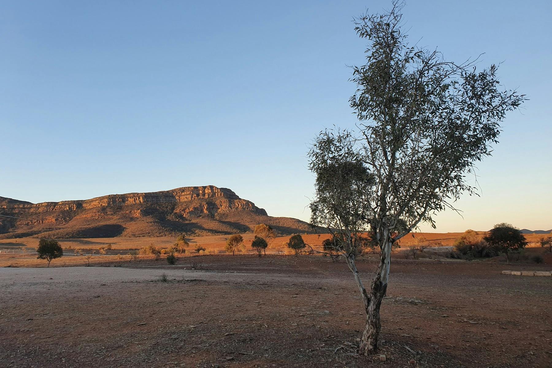 SA Eco Tours 4-day Lake Eyre and Flinders Ranges tour