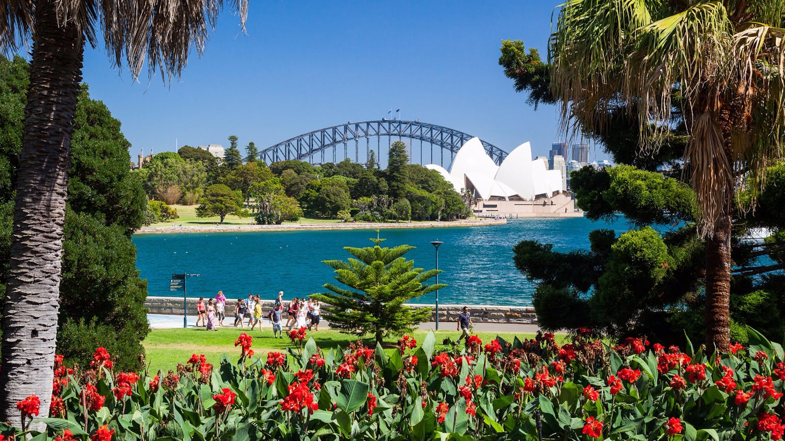 Royal Botanic Garden and the Domain