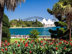 Royal Botanic Garden and the Domain