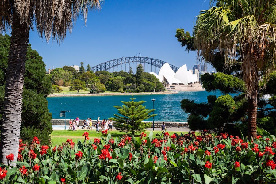 Australia's Botanical Wonders: Unveiling the Unique and the Extraordinary