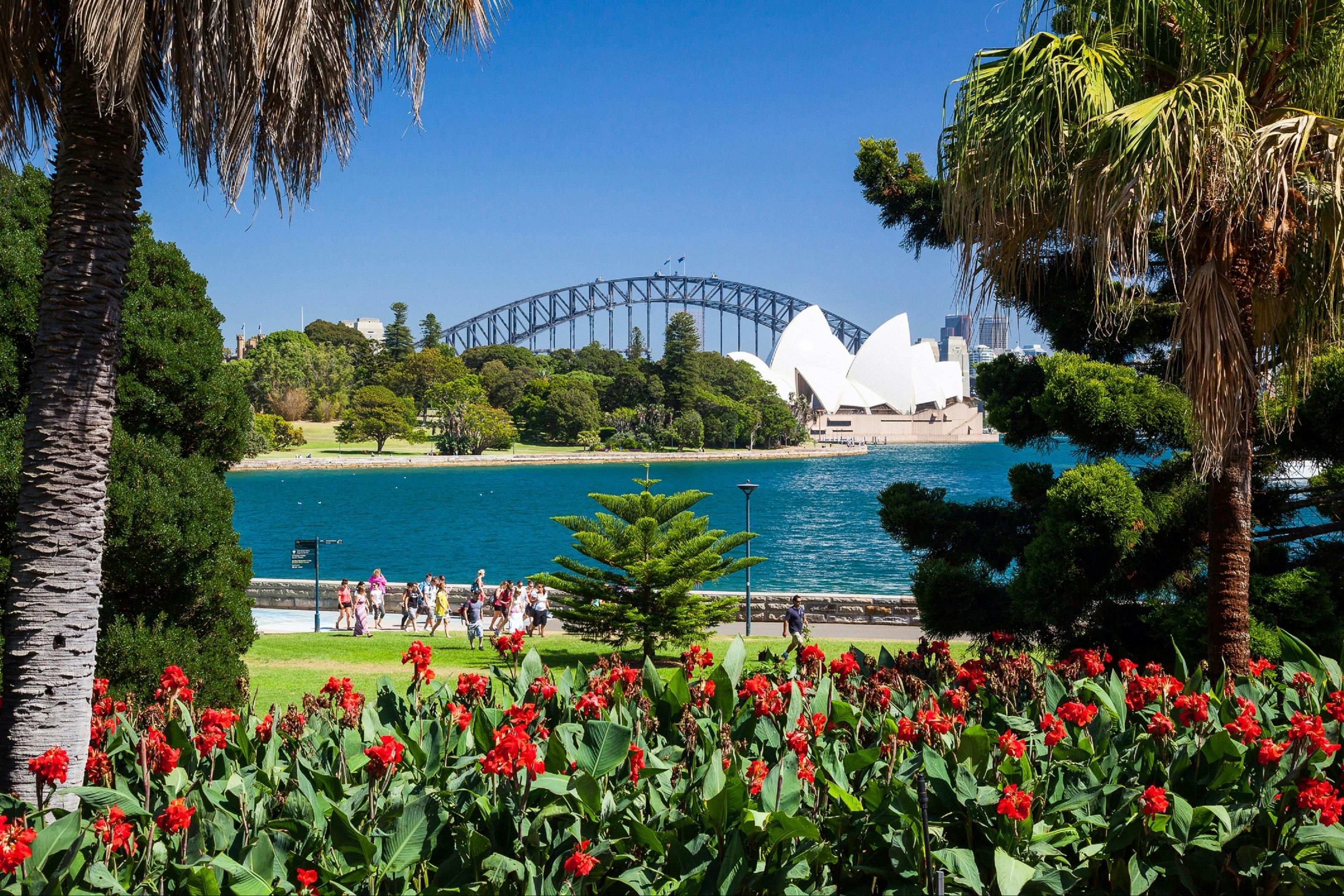 Royal Botanic Garden And The Domain City Centre Sydney Com