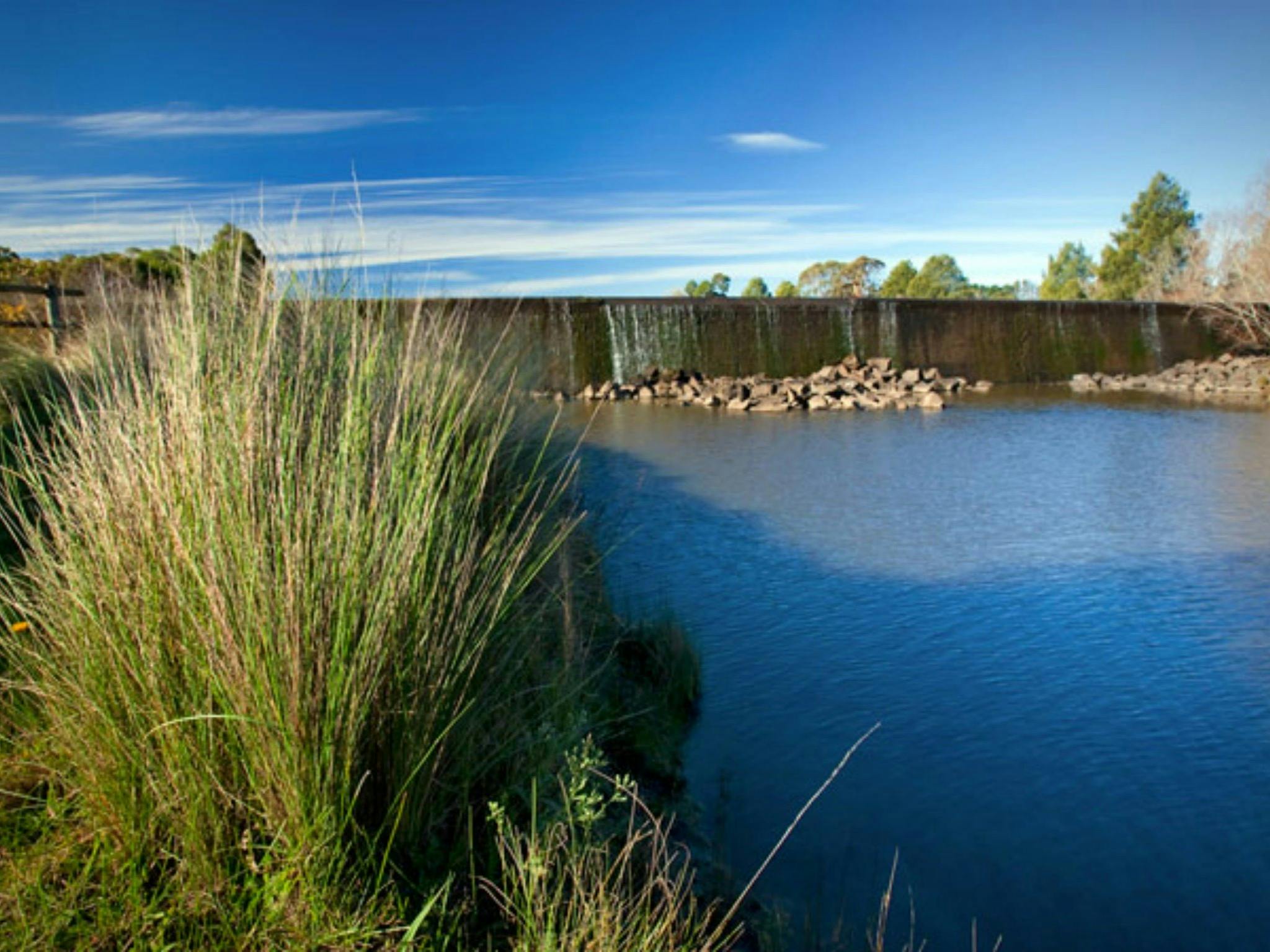 Weir View walking track | NSW Holidays & Accommodation, Things to Do ...