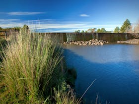 Weir View walking track