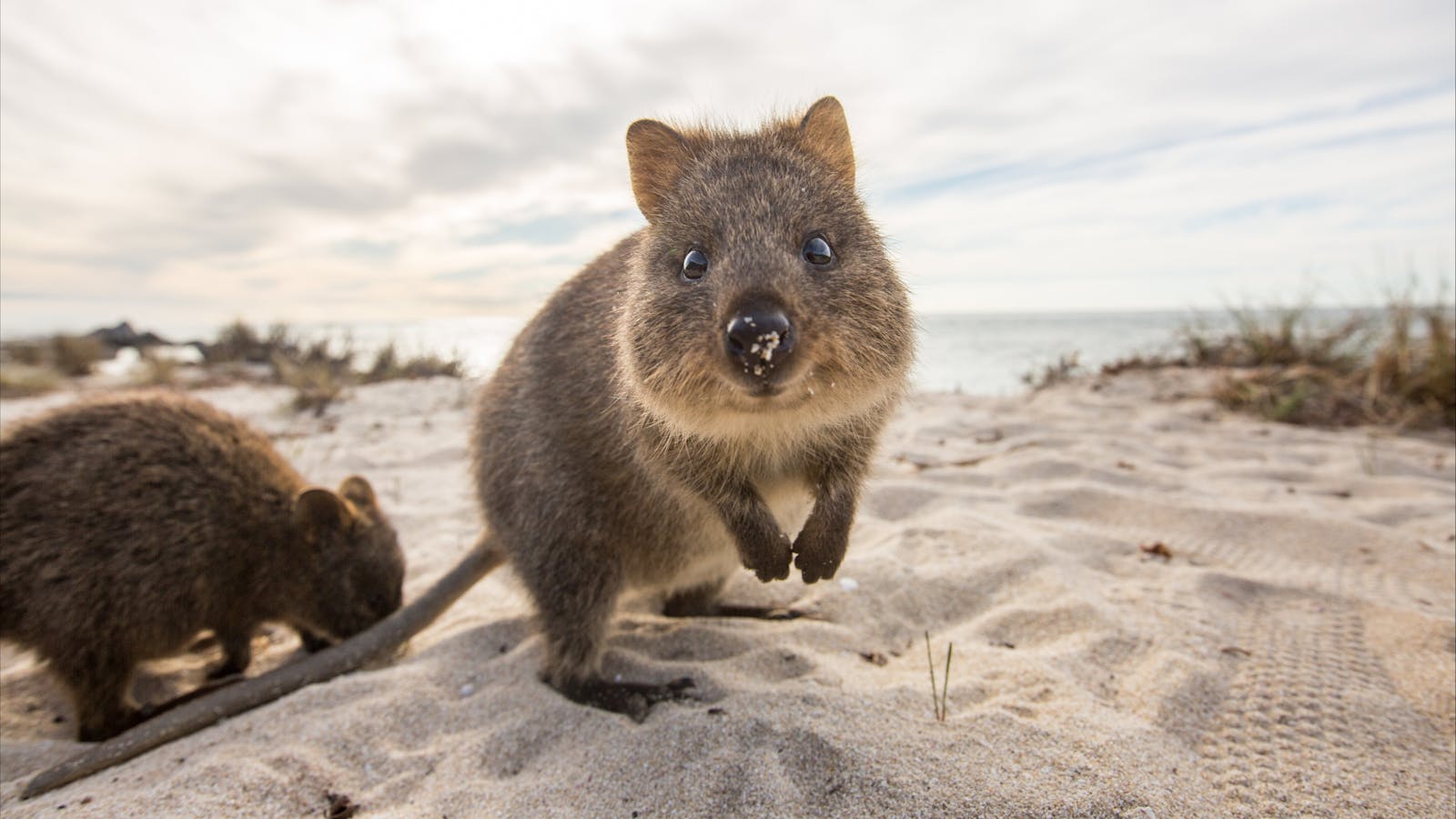 Rottnest Fast Ferries, Hillarys, Western Australia