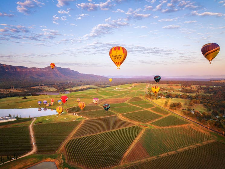 Hunter Valley balloon flights