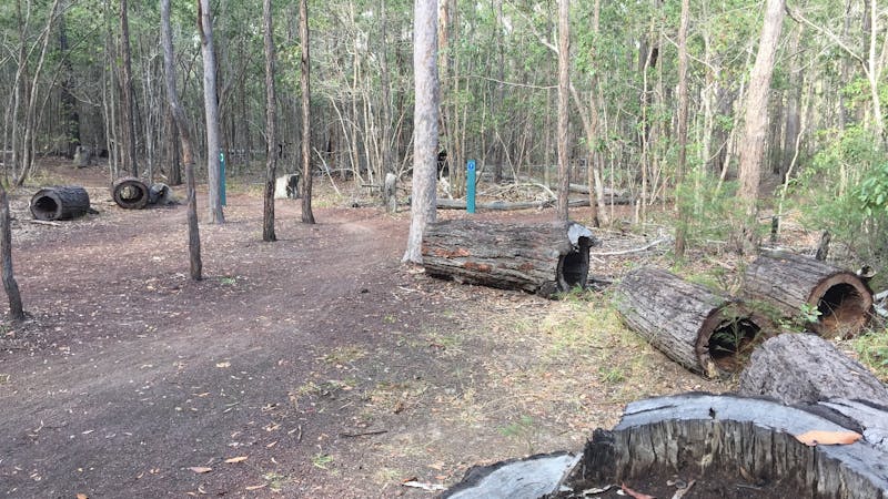 Toogoom Mountain Bike Trails and Skills Park