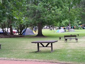 Grounds