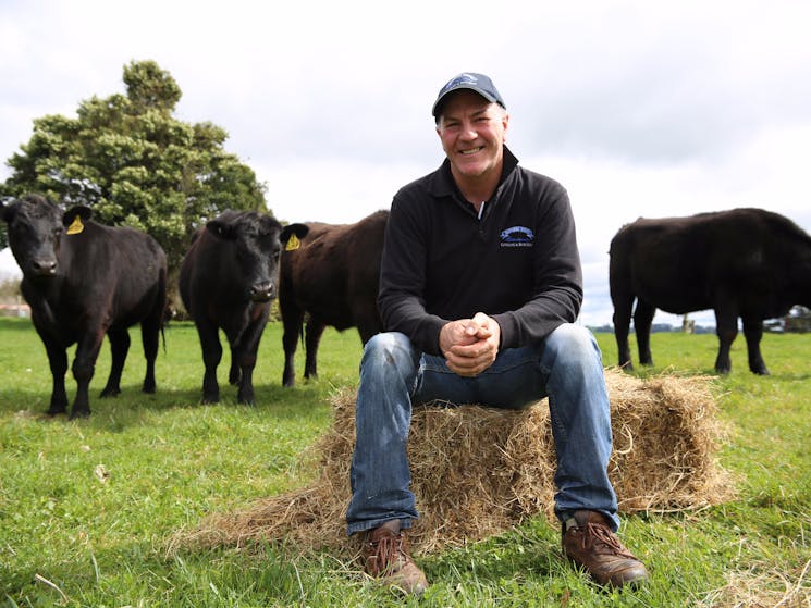 Dad with cows