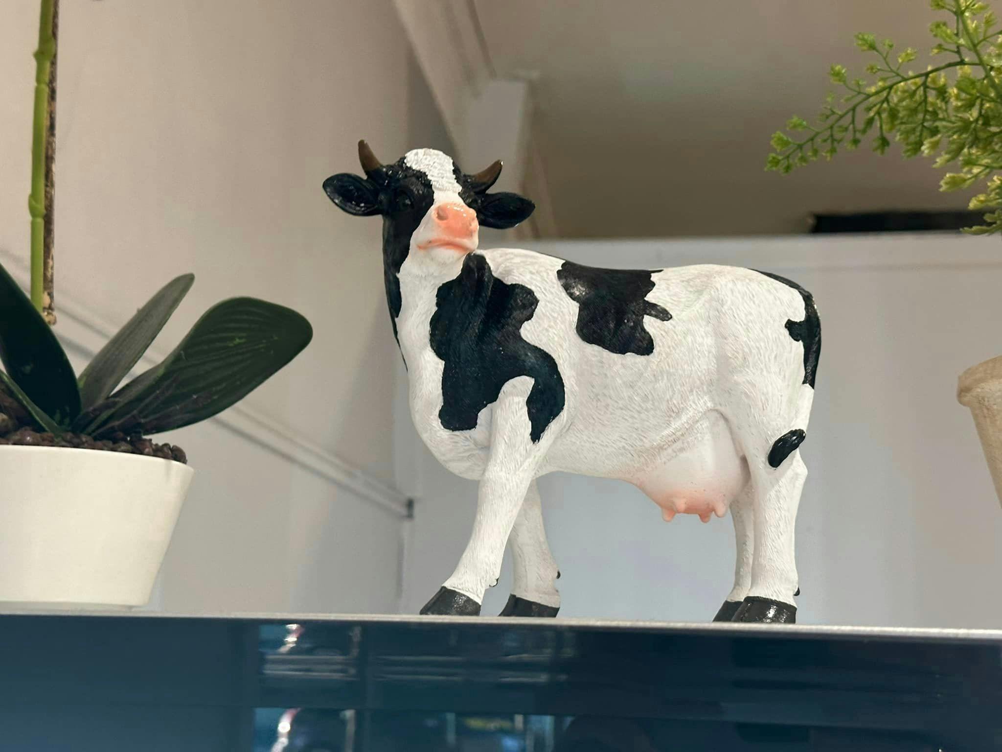 crazycowcafe