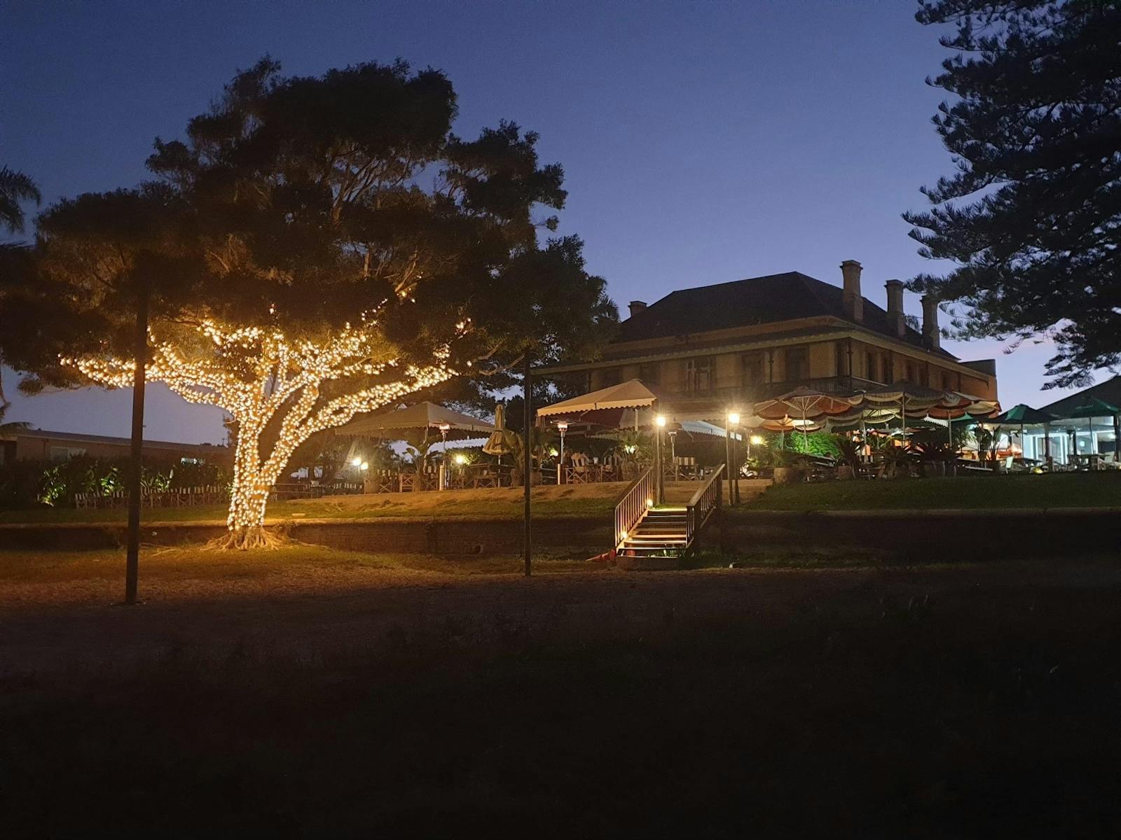 Night shot of the exterior of Shaws Bay Hotel with a tree lit up and heritage building