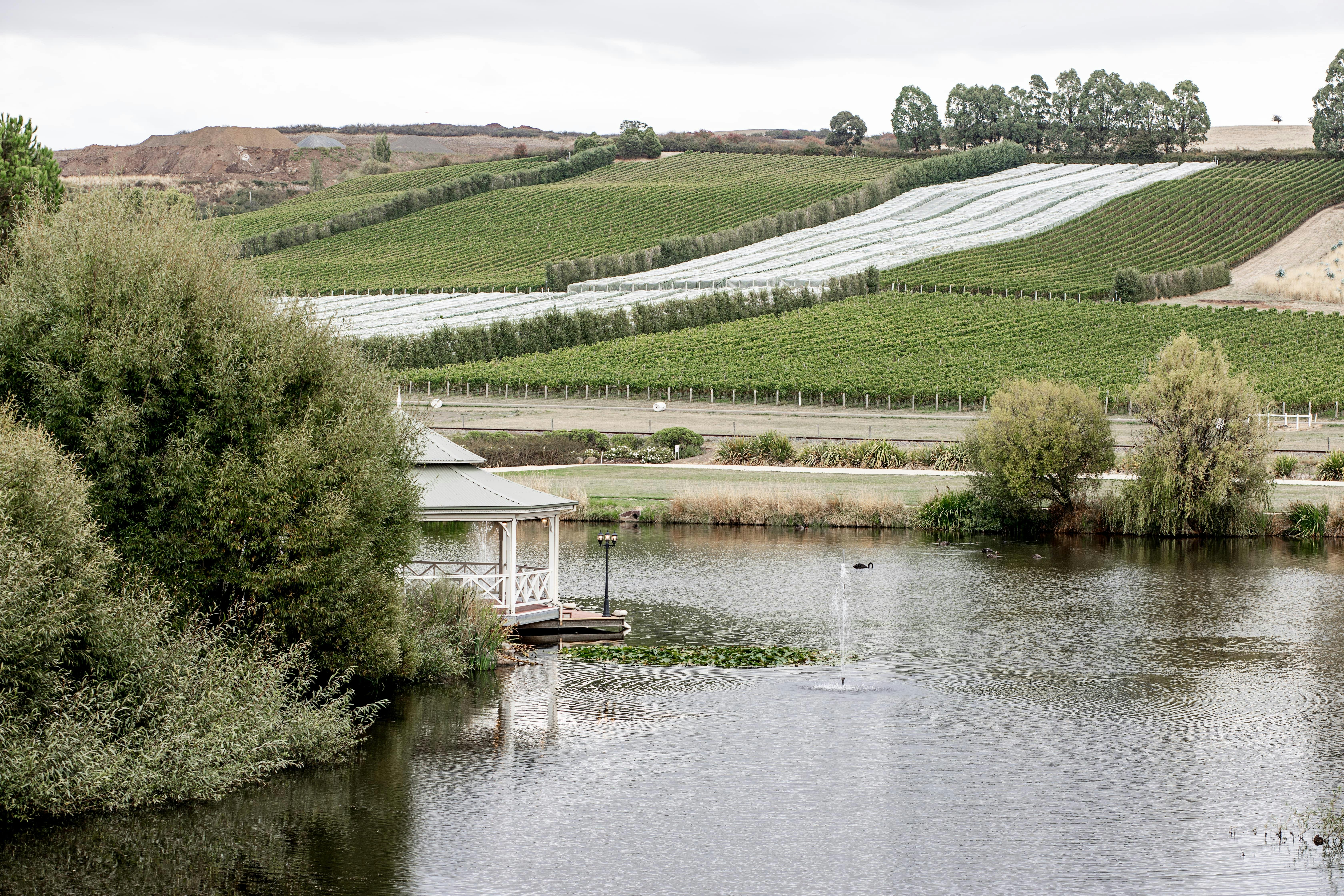 Josef Chromy View of Lake