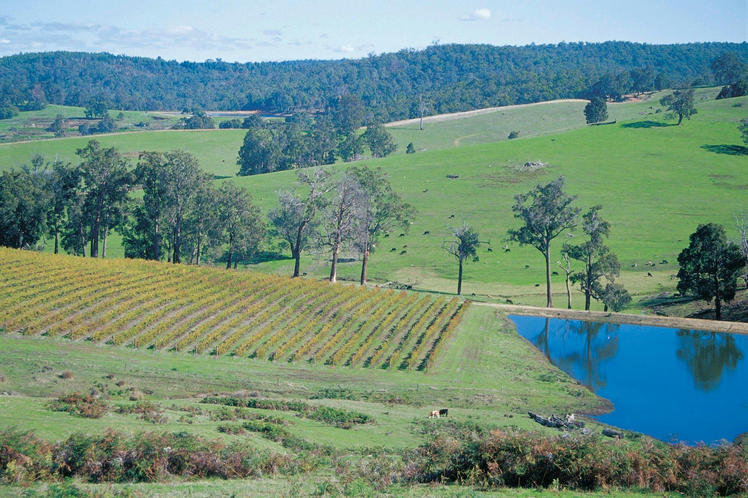 Jarrahland Wildflower Trail, Ferguson Valley, Western Australia