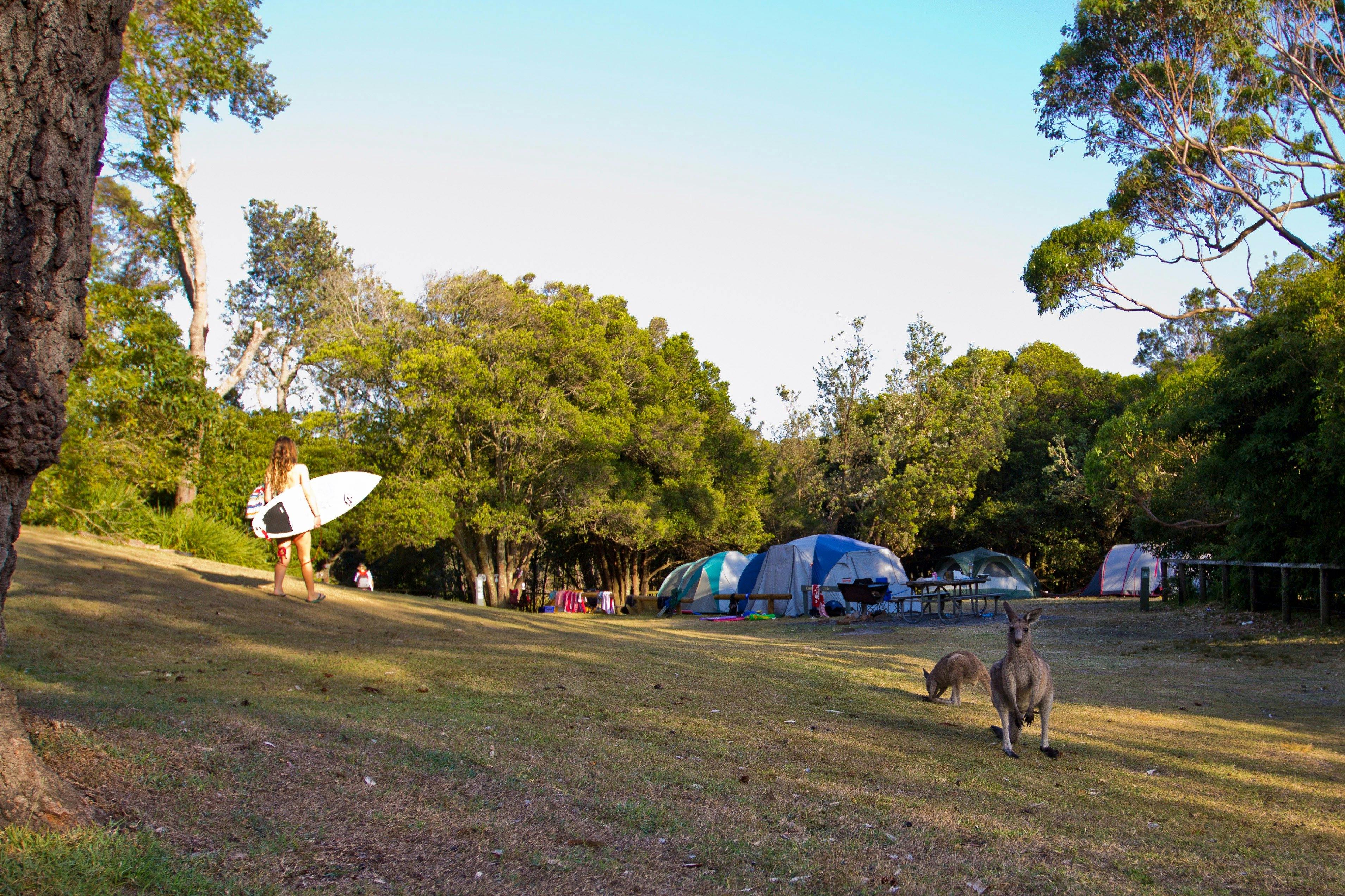 Cave Beach campground, Booderee National Park
