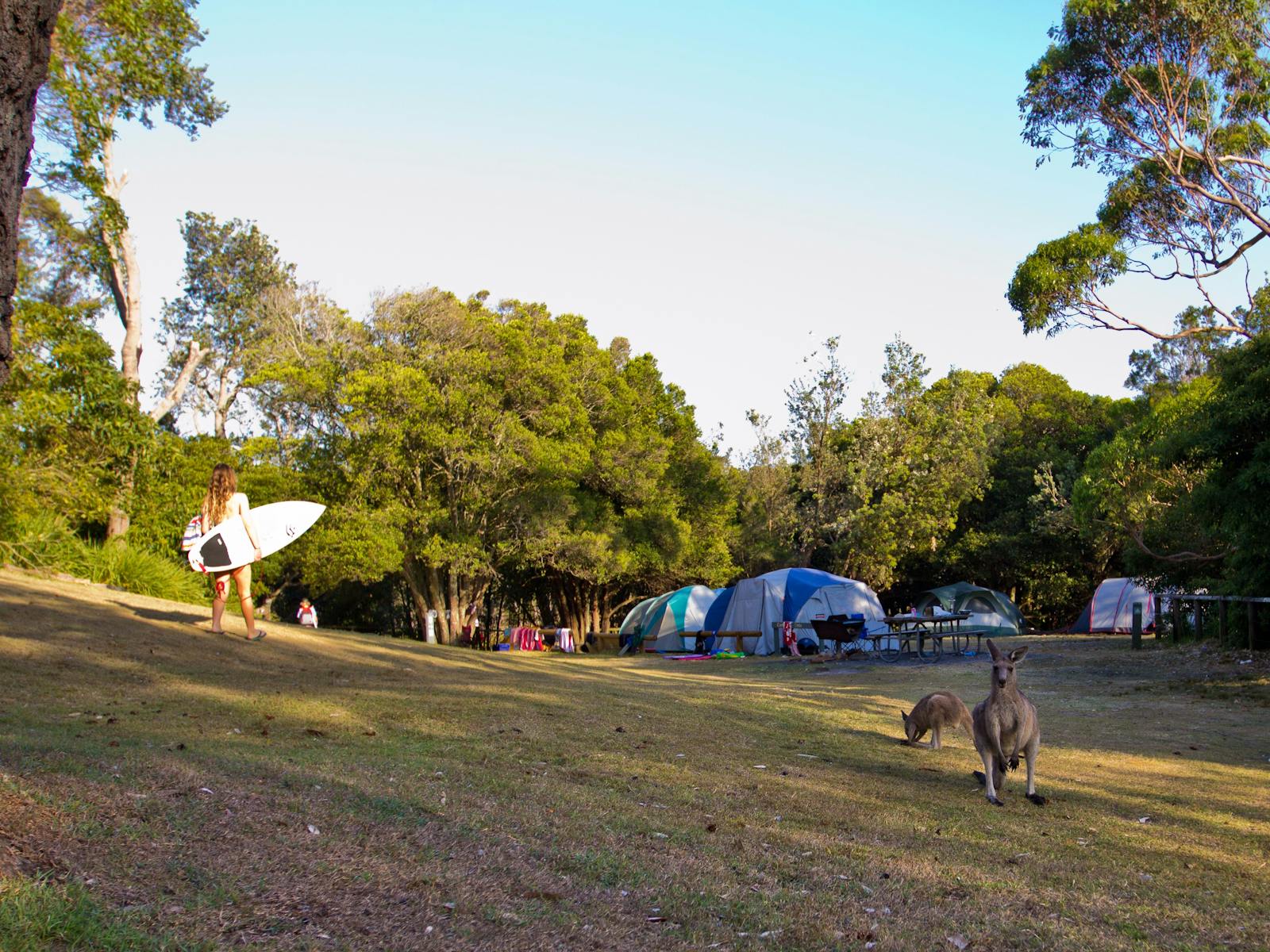 Cave Beach campground, Booderee National Park