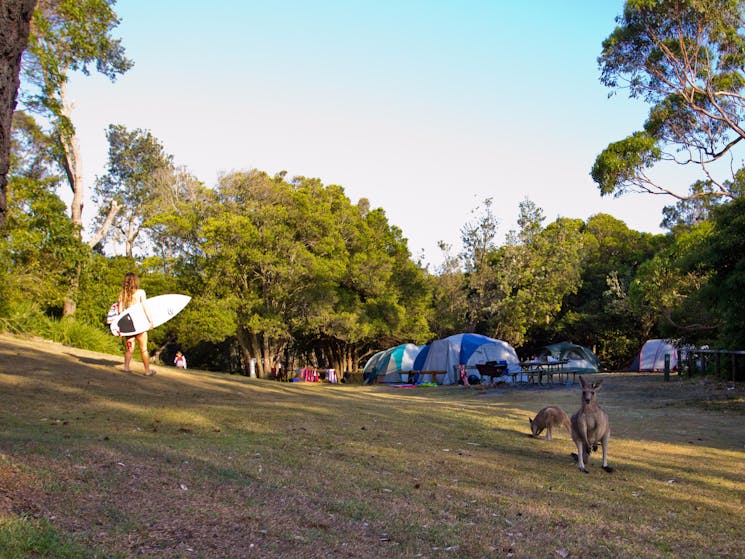 Cave Beach campground, Booderee National Park