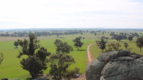 Morgan's Lookout