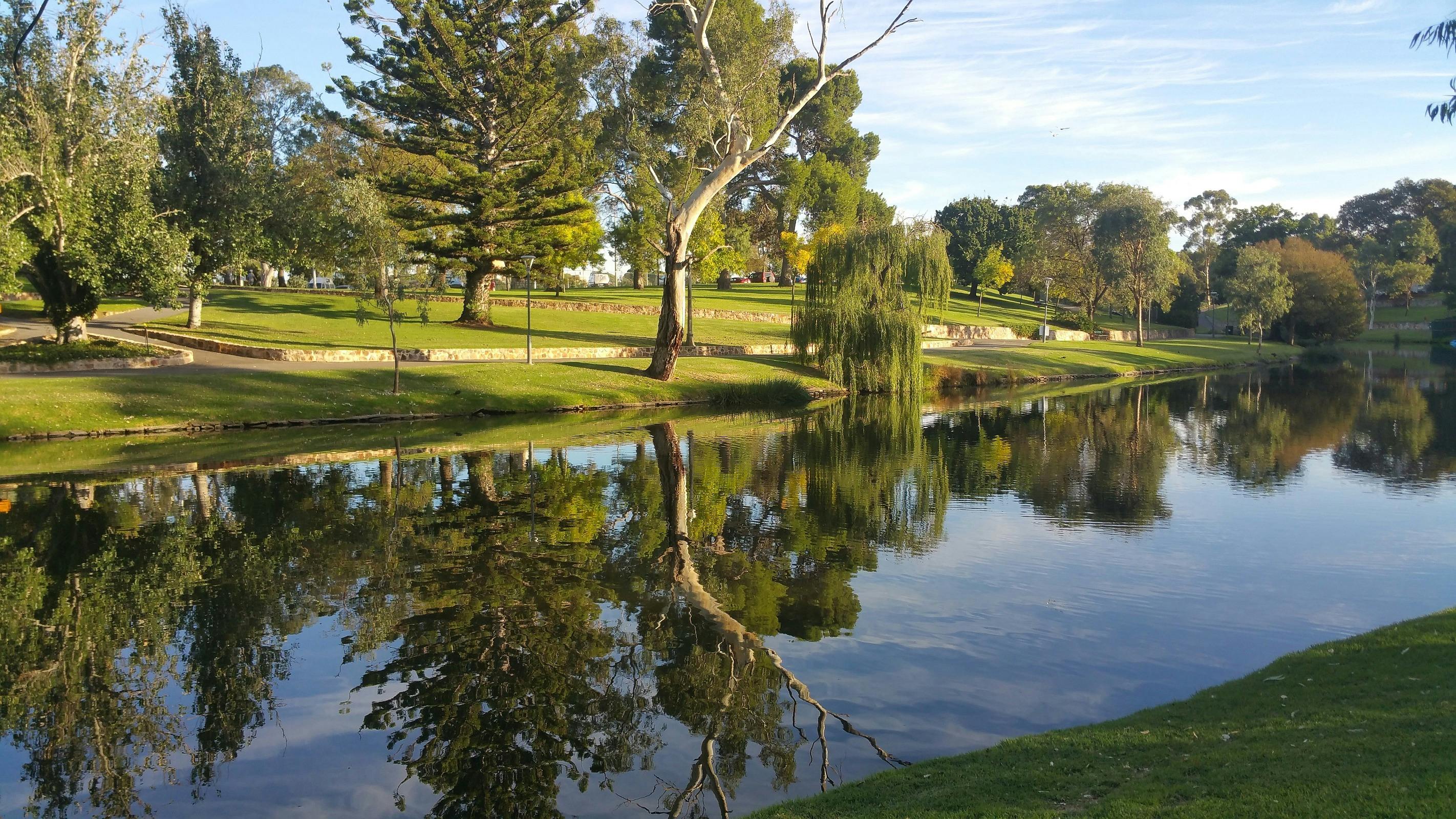 Guided Walk through Red Gum Park / Karrawirra (Park 12)