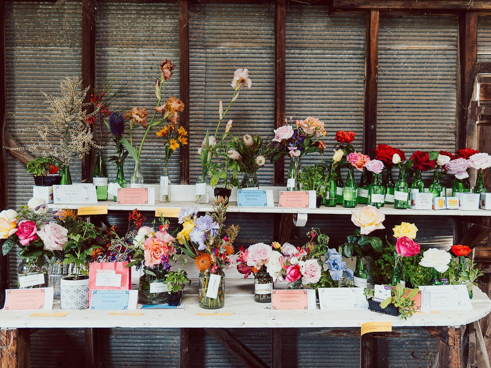 Flowers on display at Coleraine Show