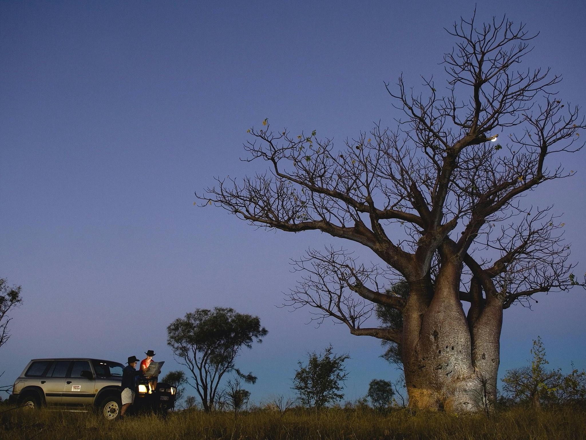 Scenic Drives - Bunbury Collie Donnybrook, Bunbury, Western Australia