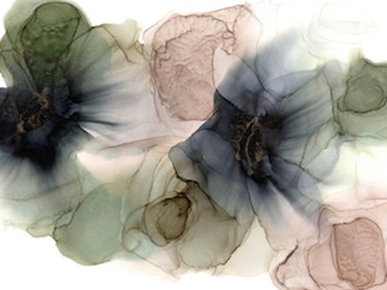 Image of the event 'Intuitive Inks Workshop with Laura Bright'
