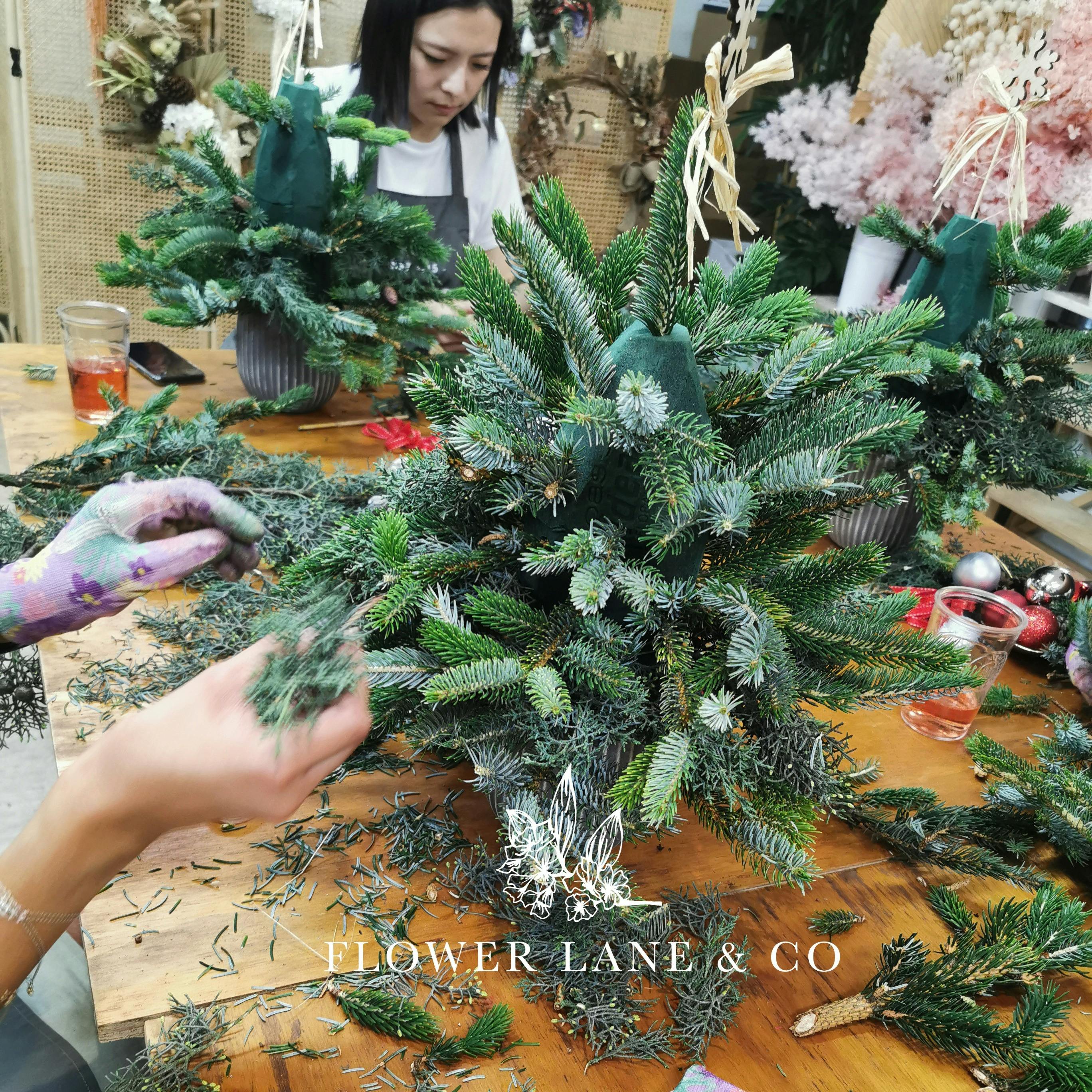 Build a Christmas Tree Workshop