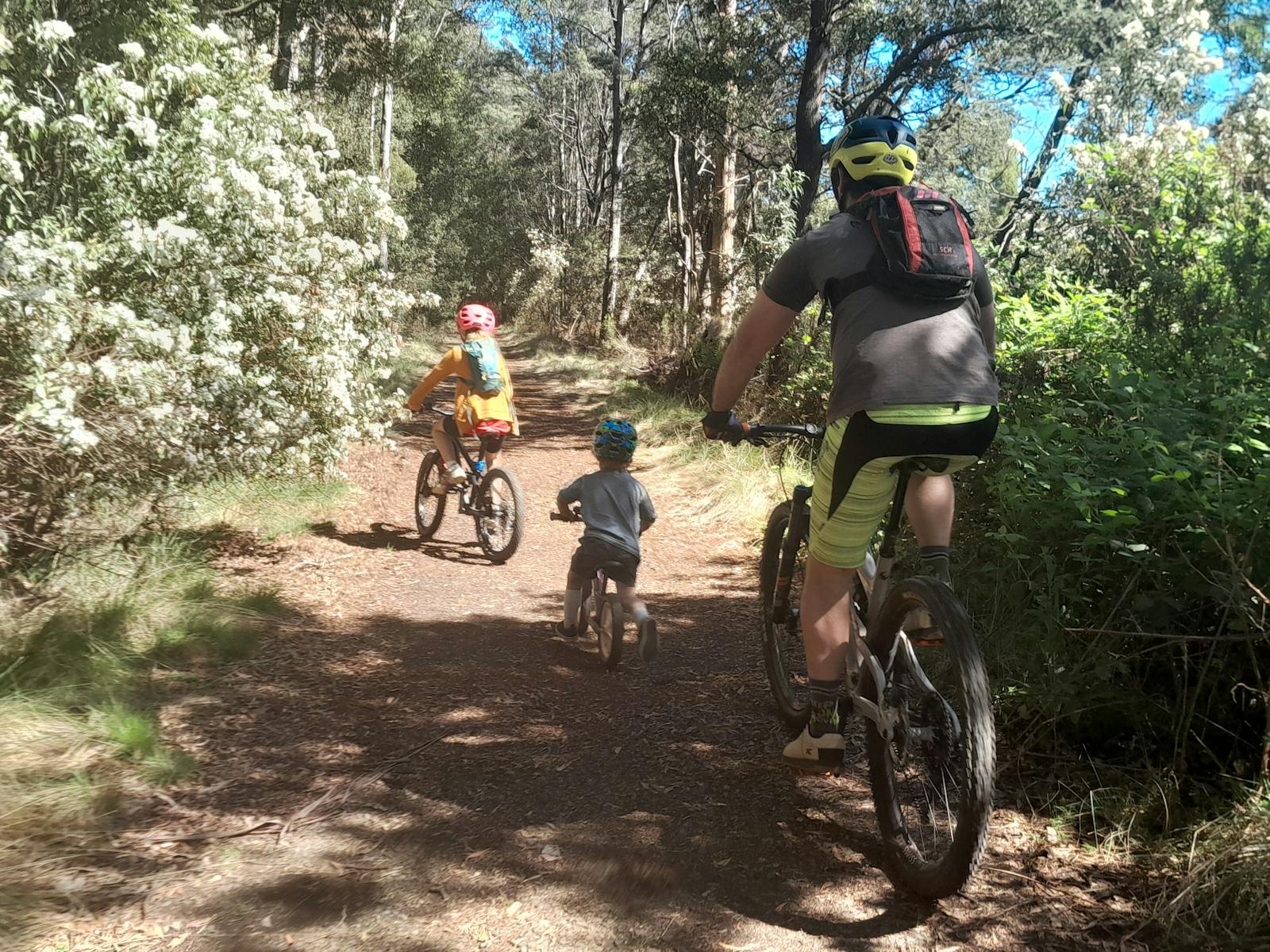 North East Tasmania Rail Trail