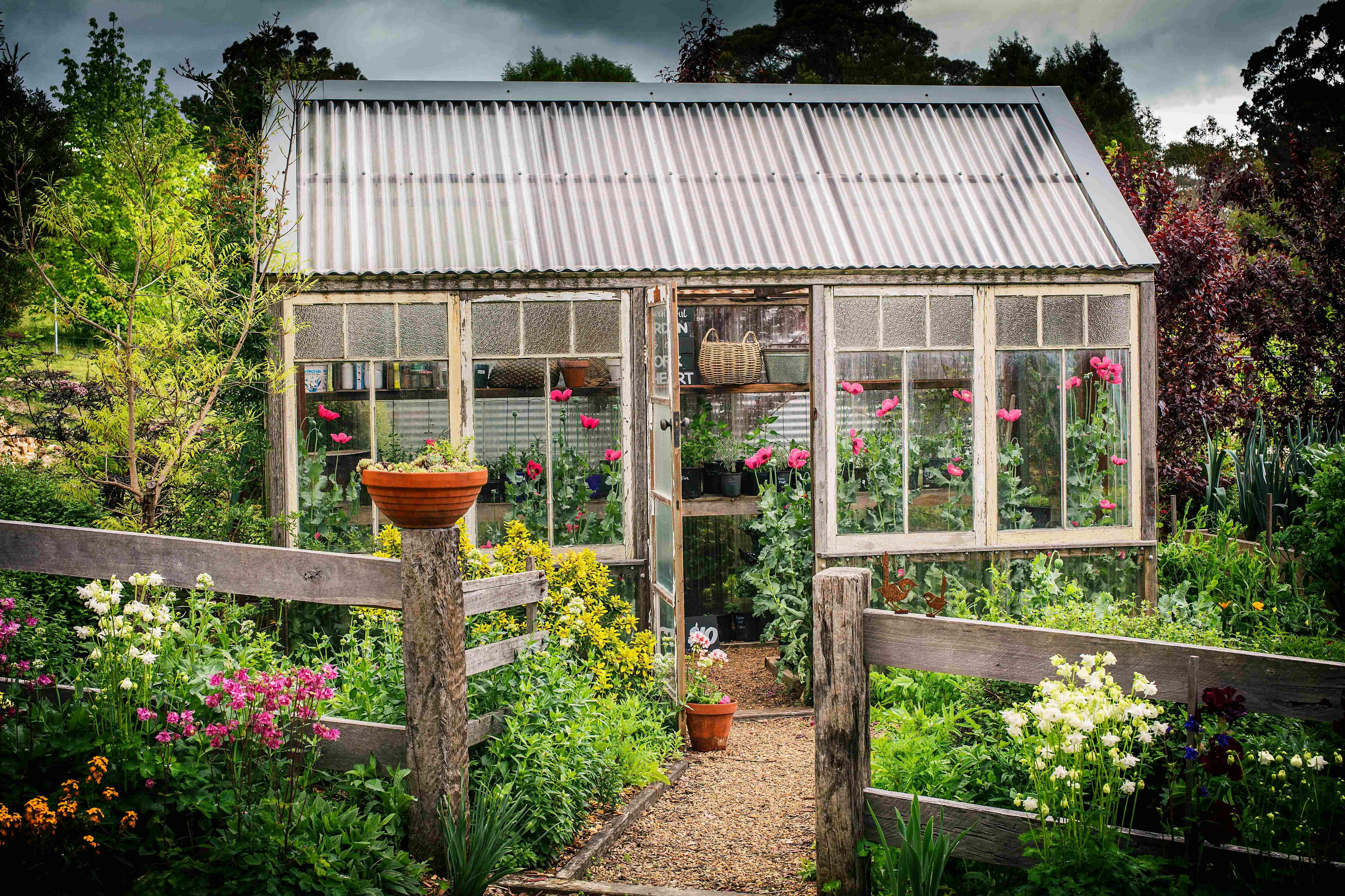 Hothouse in spring
