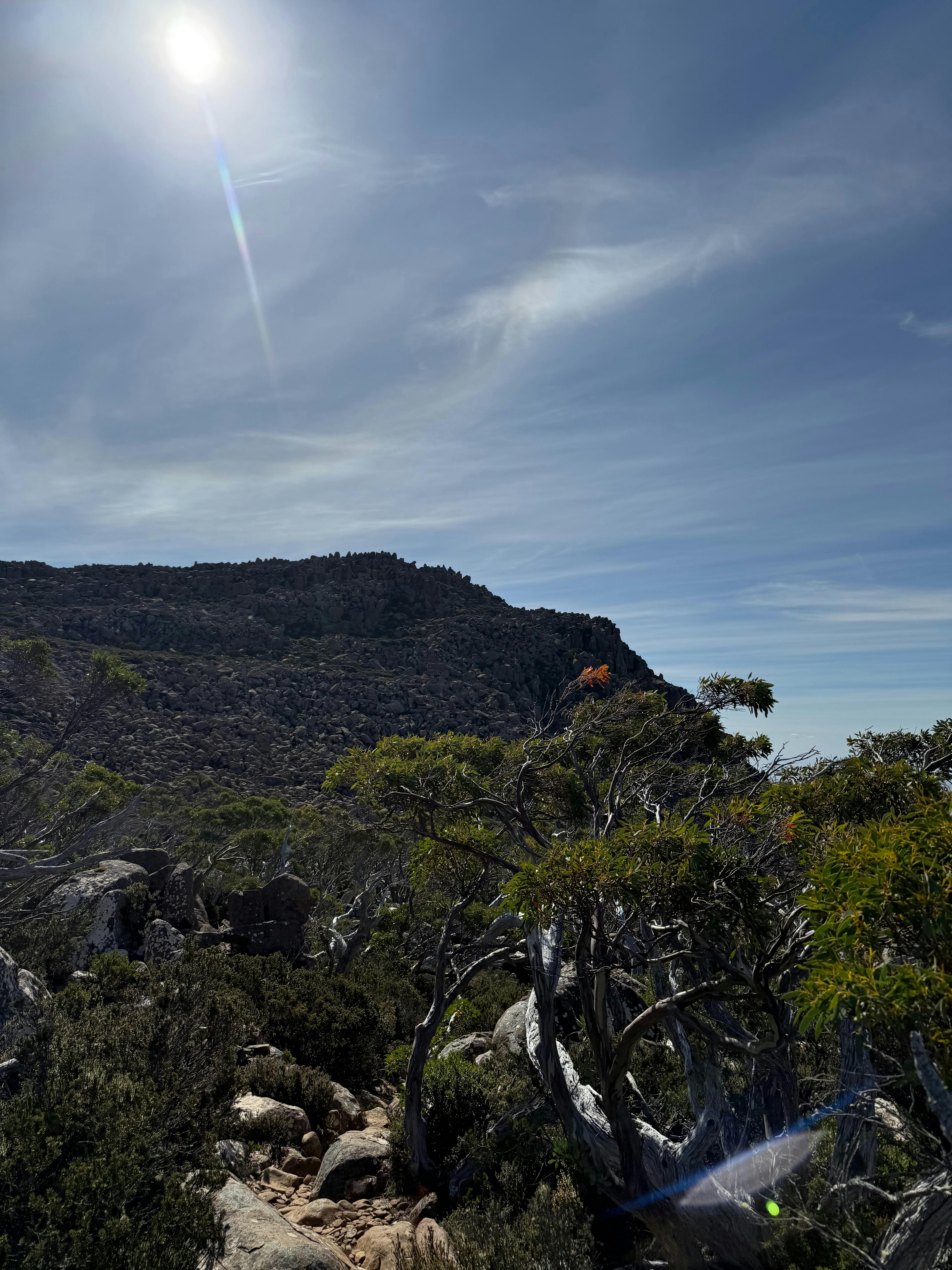 Mt Wellington 1