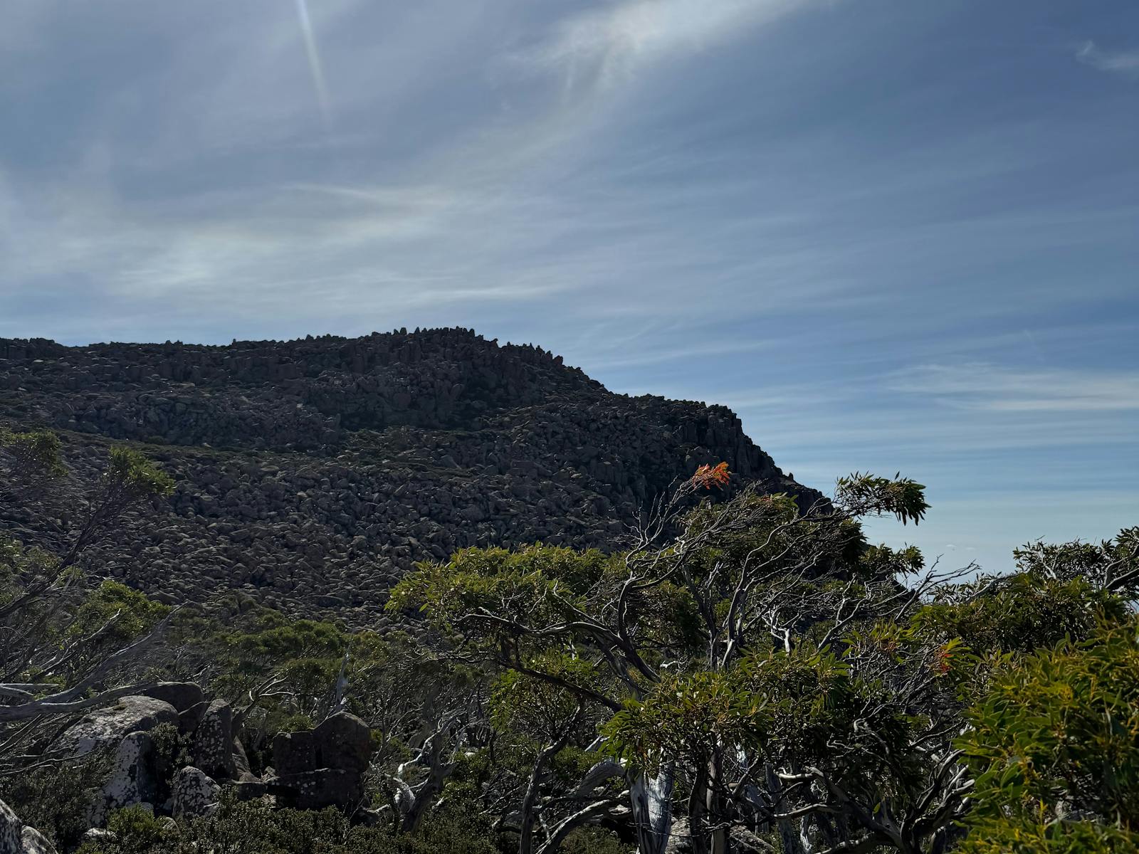 Mt Wellington 1