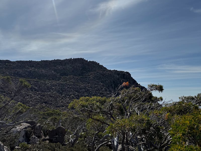 Mt Wellington 1