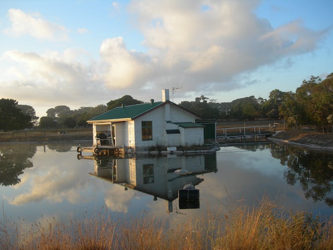 Fly Fishing Lodge