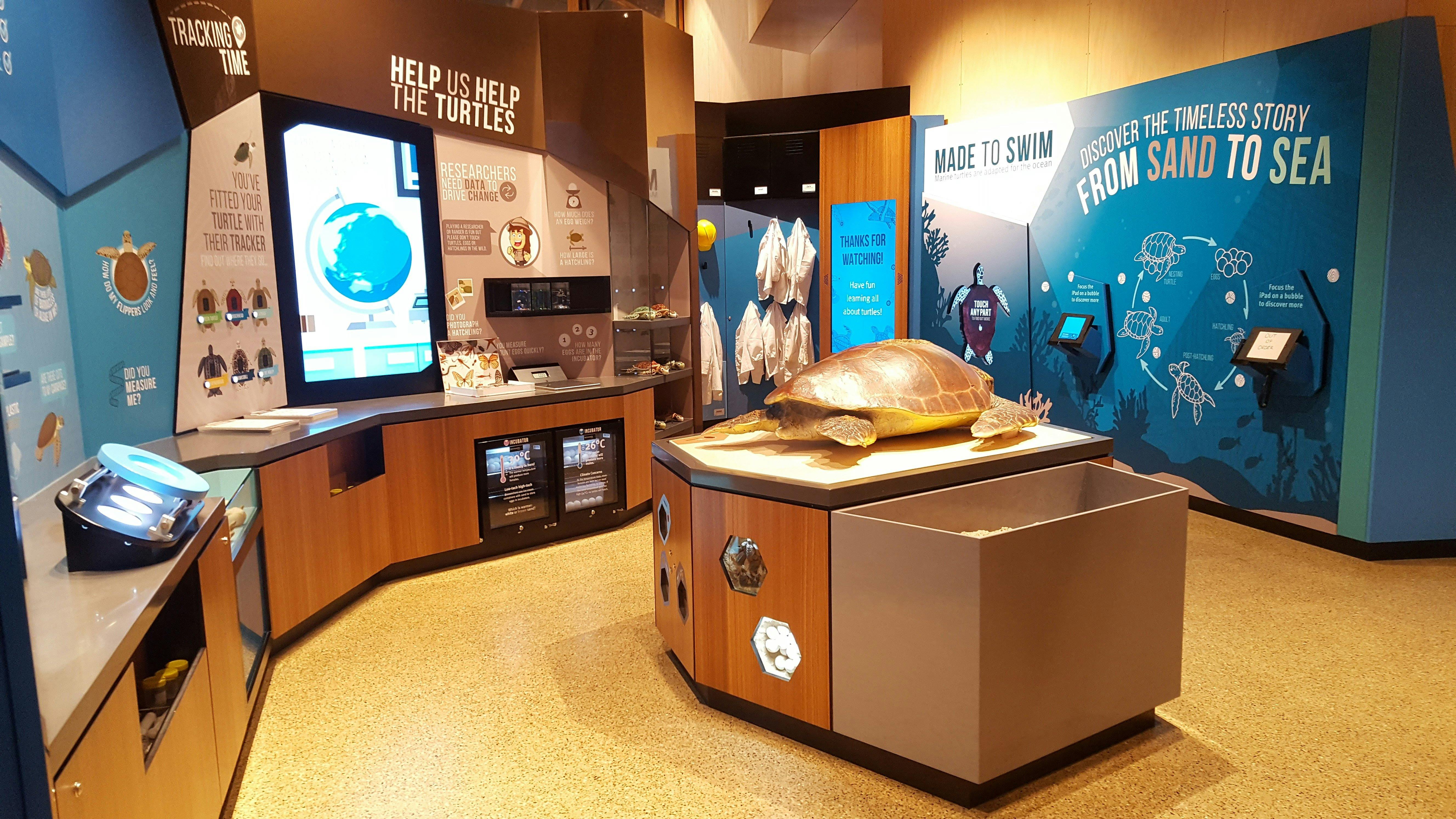 An open room with many interactive displays, including screens, a giant turtle and kids activities.