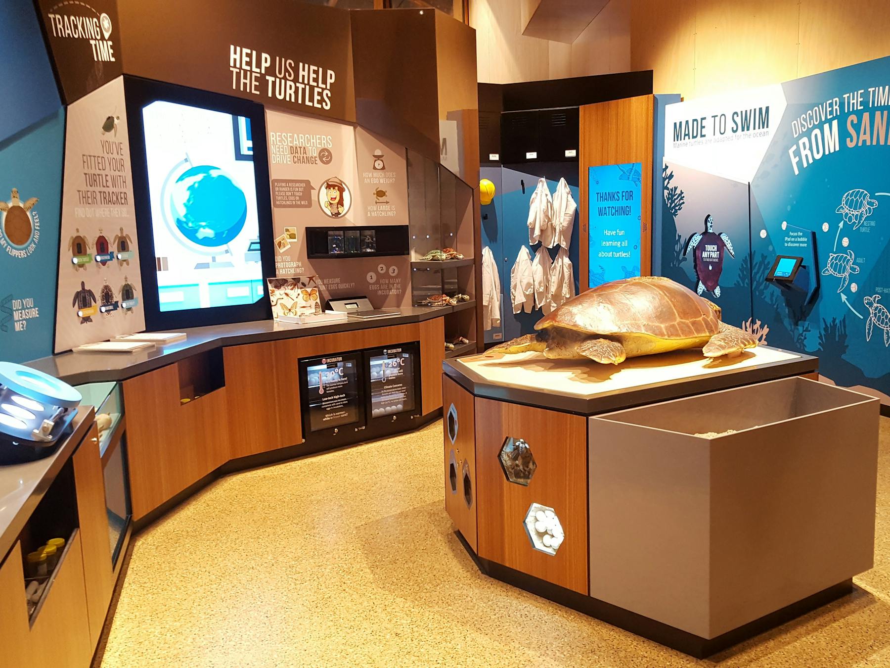 An open room with many interactive displays, including screens, a giant turtle and kids activities.