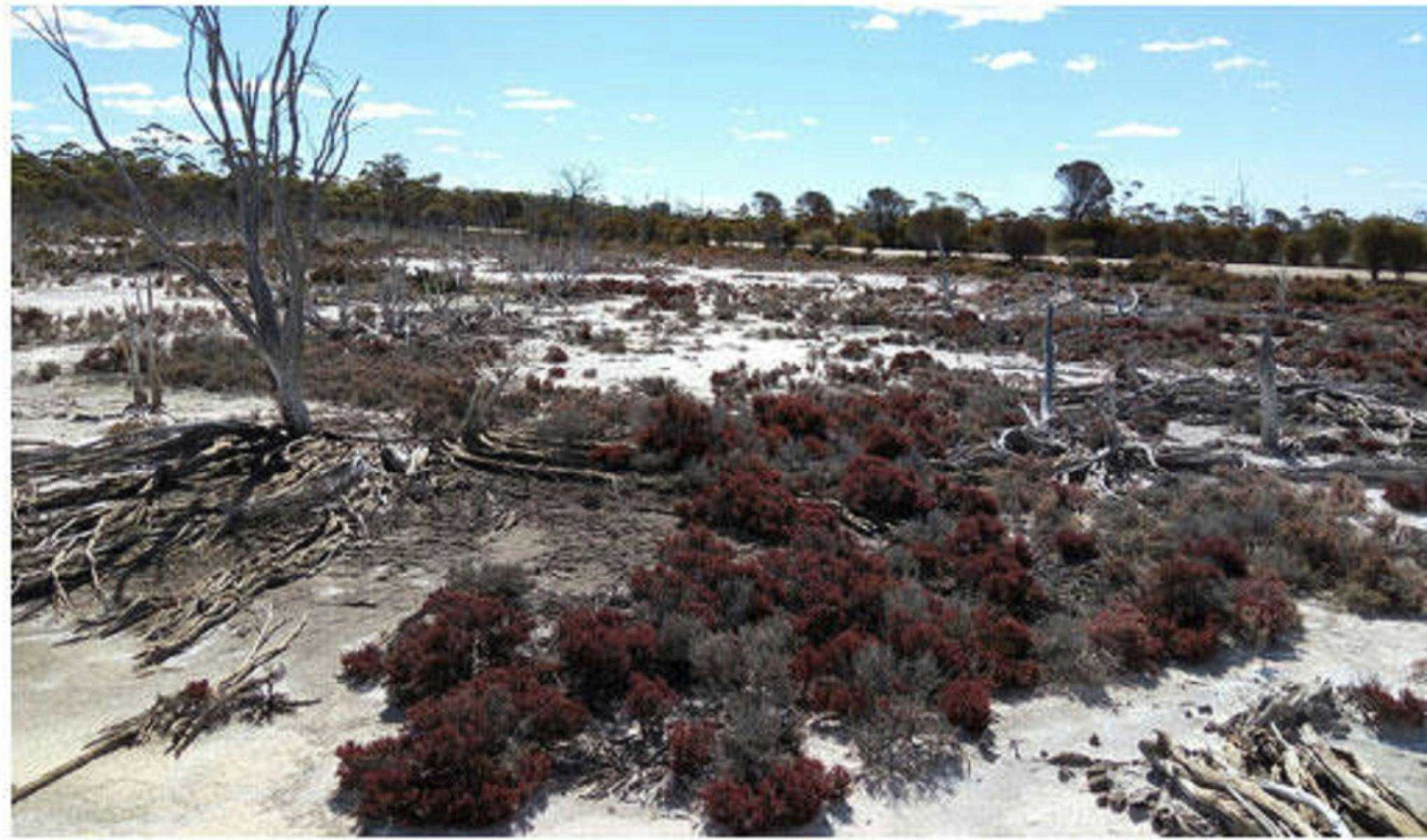 1 Day Wave Rock Tour
