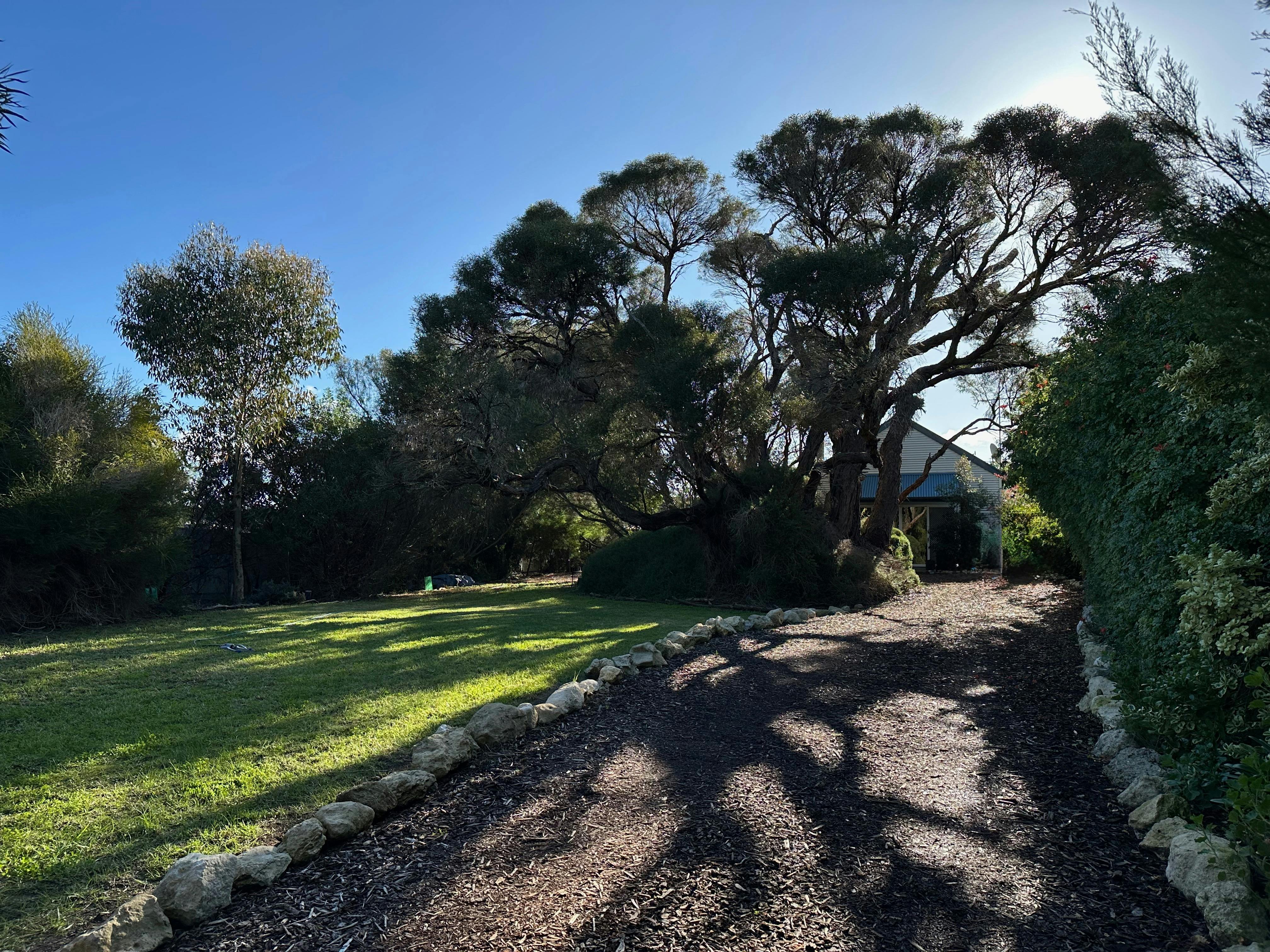 Large garden and driveway
