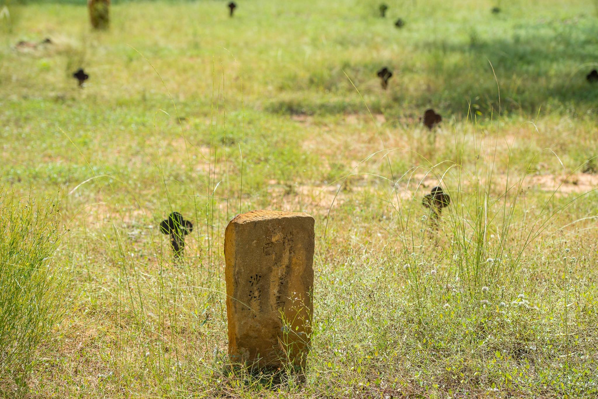 Historic Croydon Cemetery
