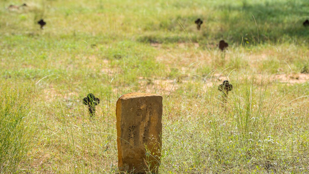 Croydon cemetery, historic, chinese settlers, gravestones, porcellain flowers, intricate grave stone