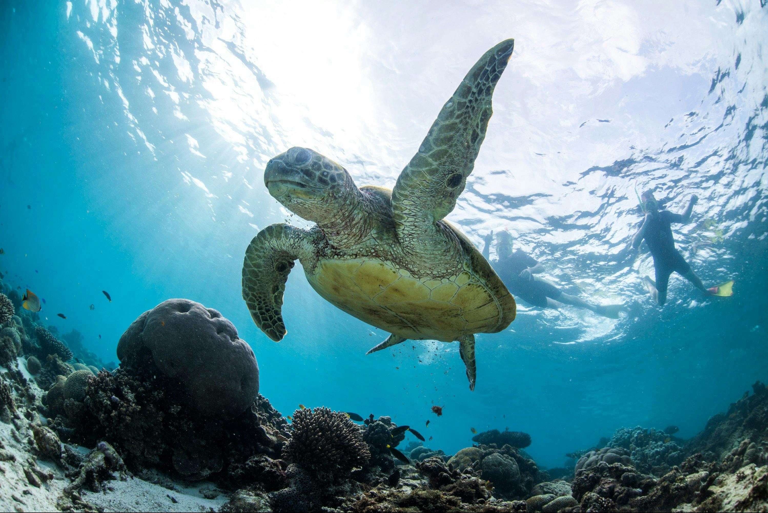 Coastal Adventure Tours, Coral Bay, Western Australia