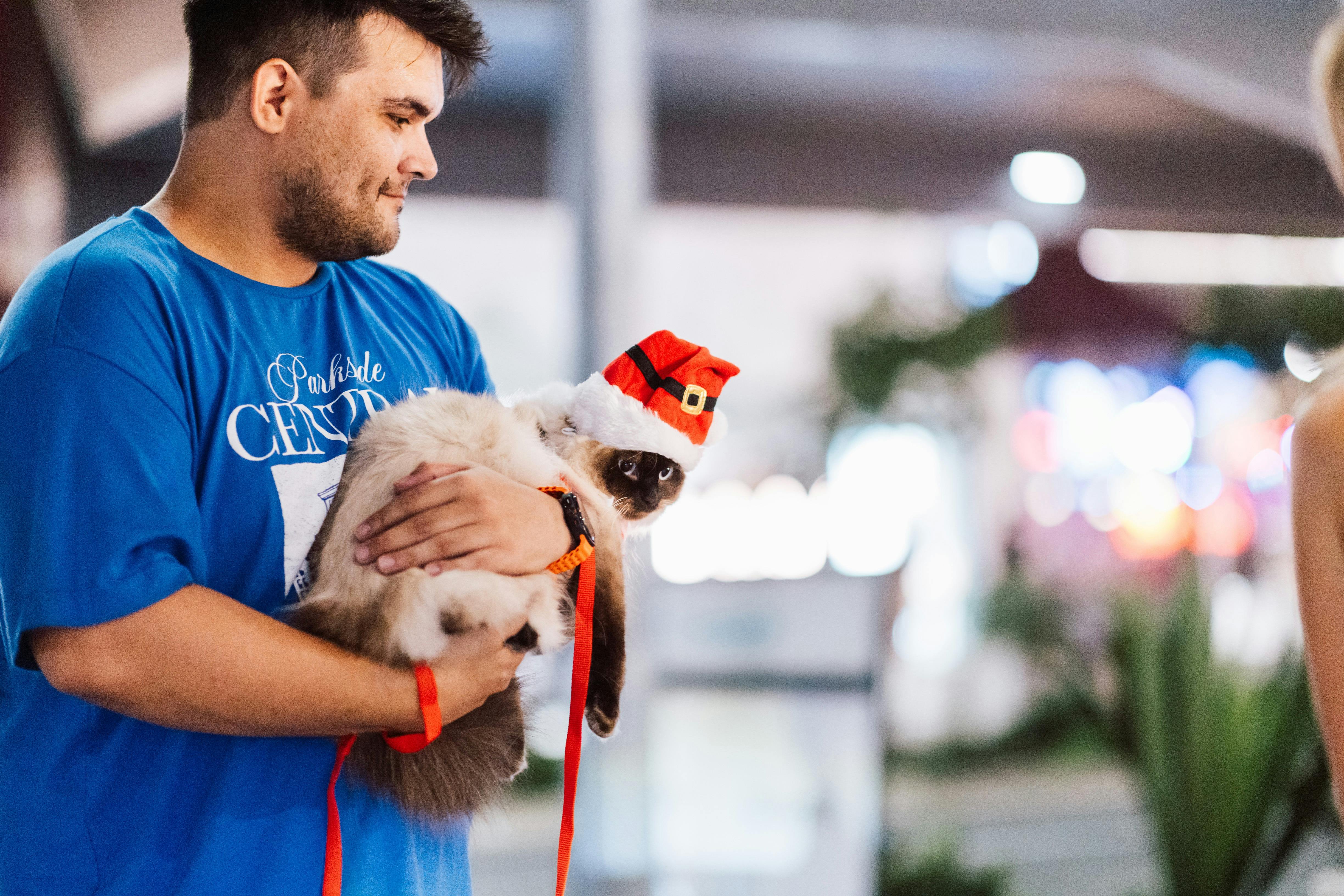 Man holds a fluffy cat wearing a Santa hat at a festive Christmas market.