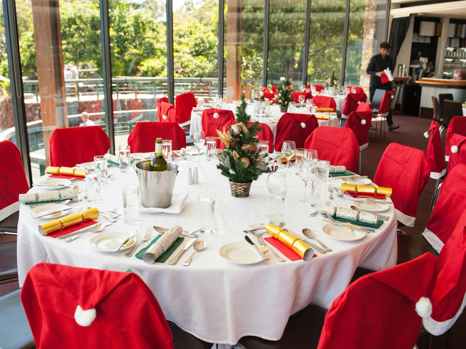 Image for Senior's Christmas Lunches at SkyHigh