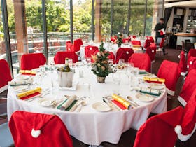 Senior's Christmas Lunches at SkyHigh Cover Image