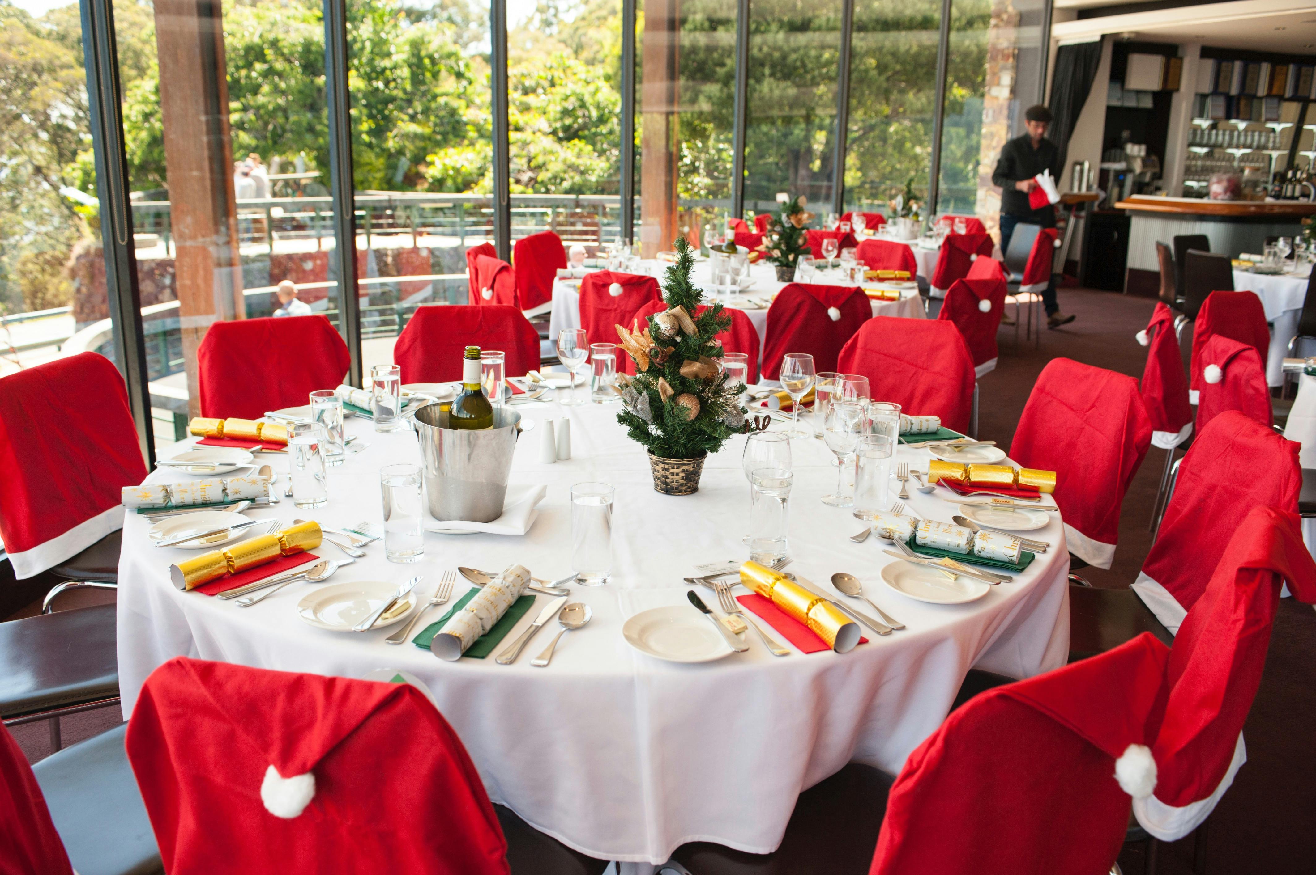 Senior's Christmas Lunch at SkyHigh