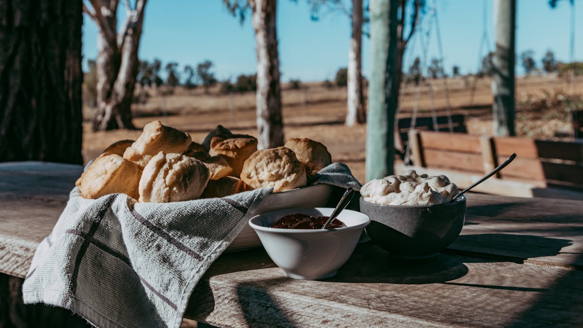 guest morning tea, Devonshire tea, fresh scones, country baking