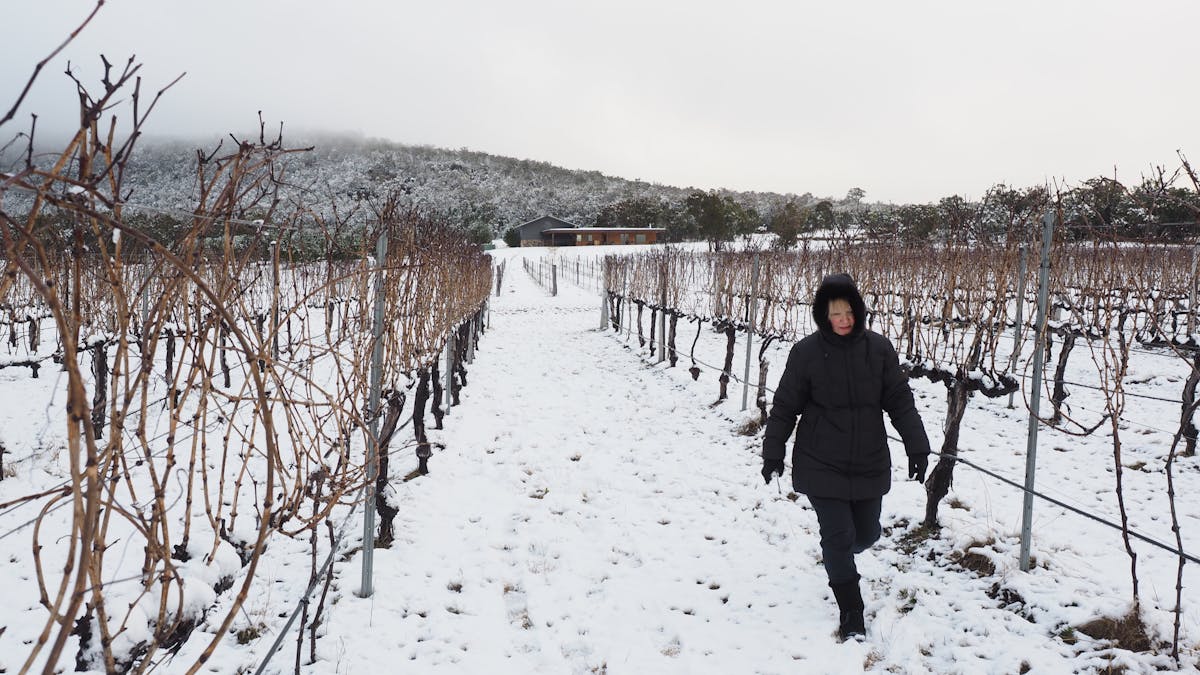 Snow on the Granite Belt
