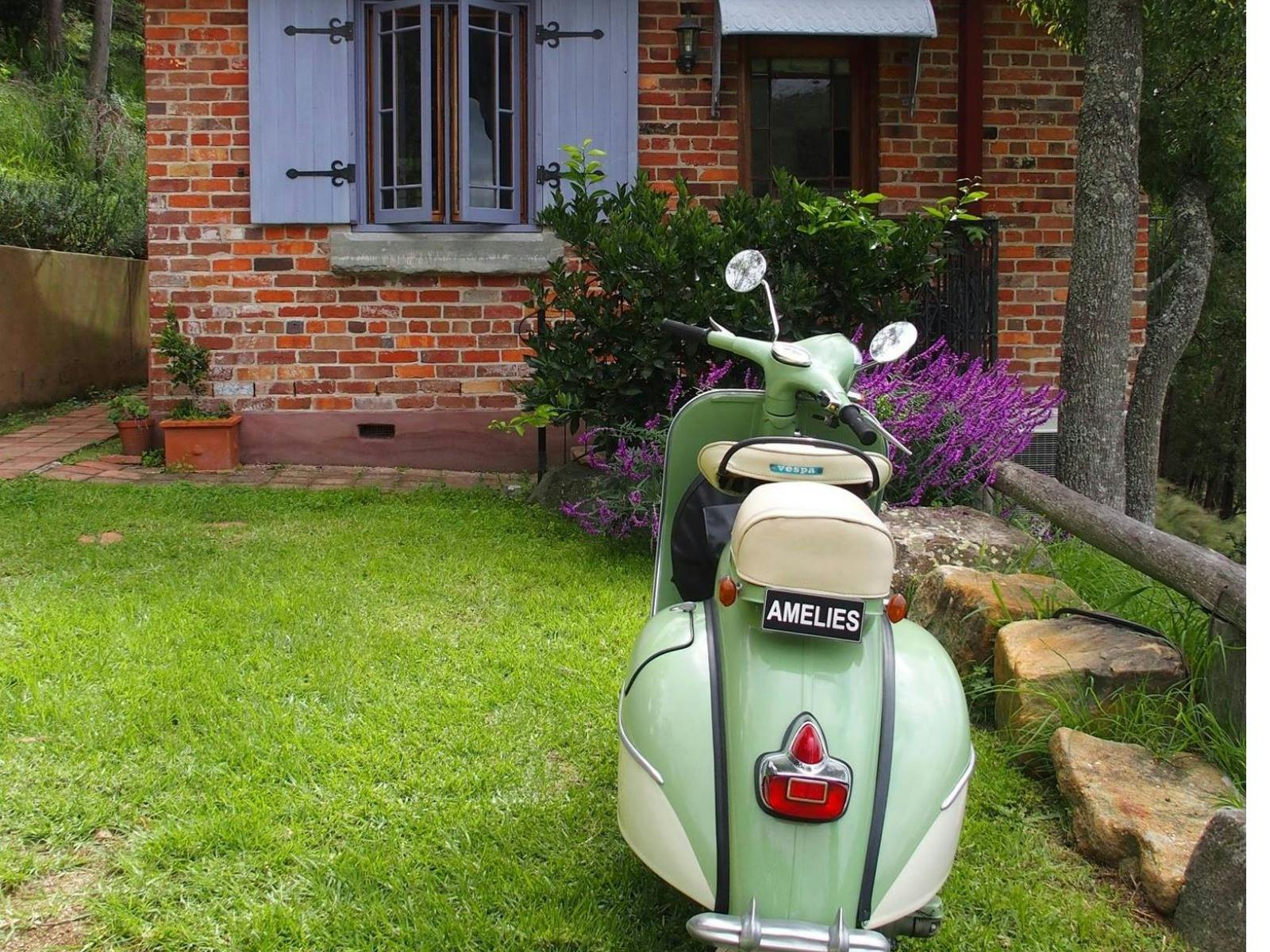 Amelies auf dem Pokolbin Mountain