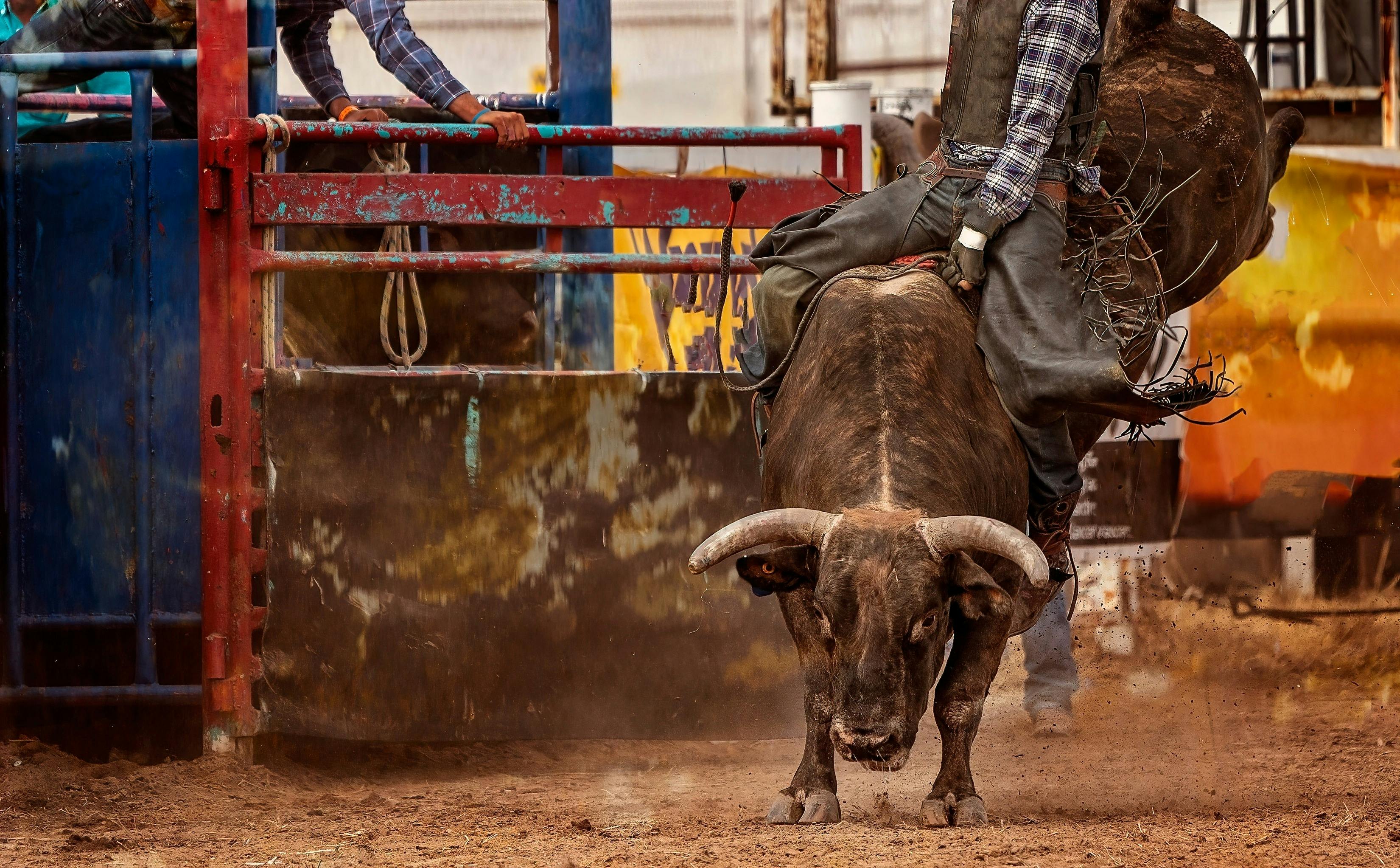 National Rodeo Championships