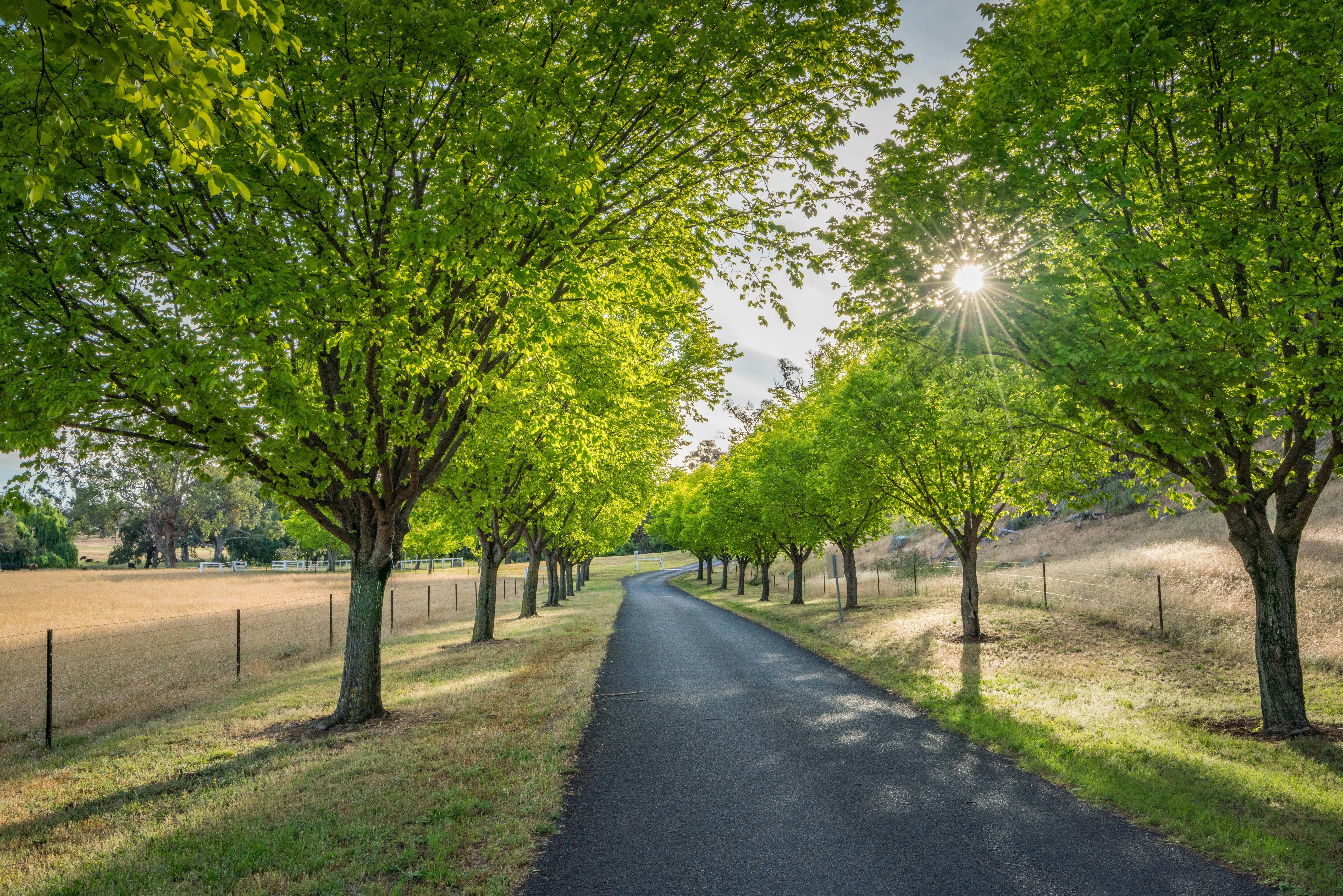 Gooree Park Stud Tours