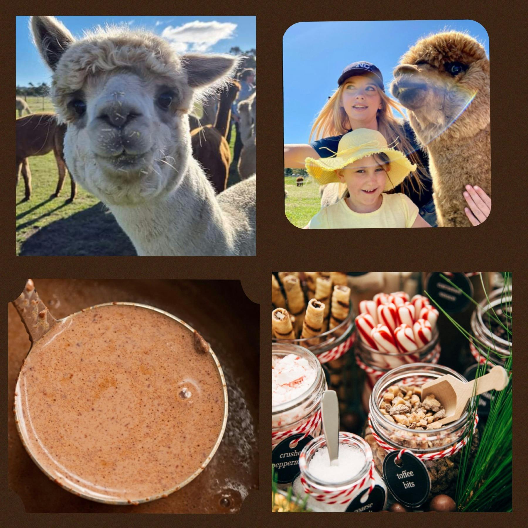 Alpaca Farm Tours with Toffeemont